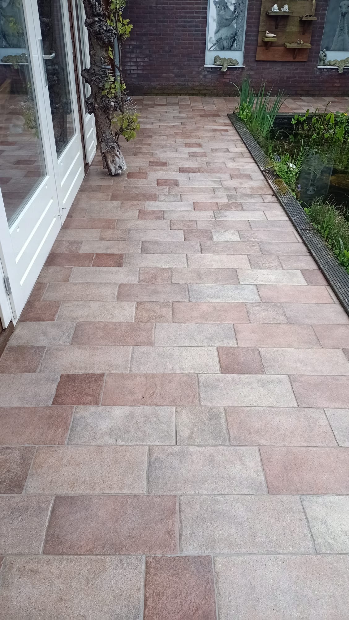 terras na professionele reiniging van vclean