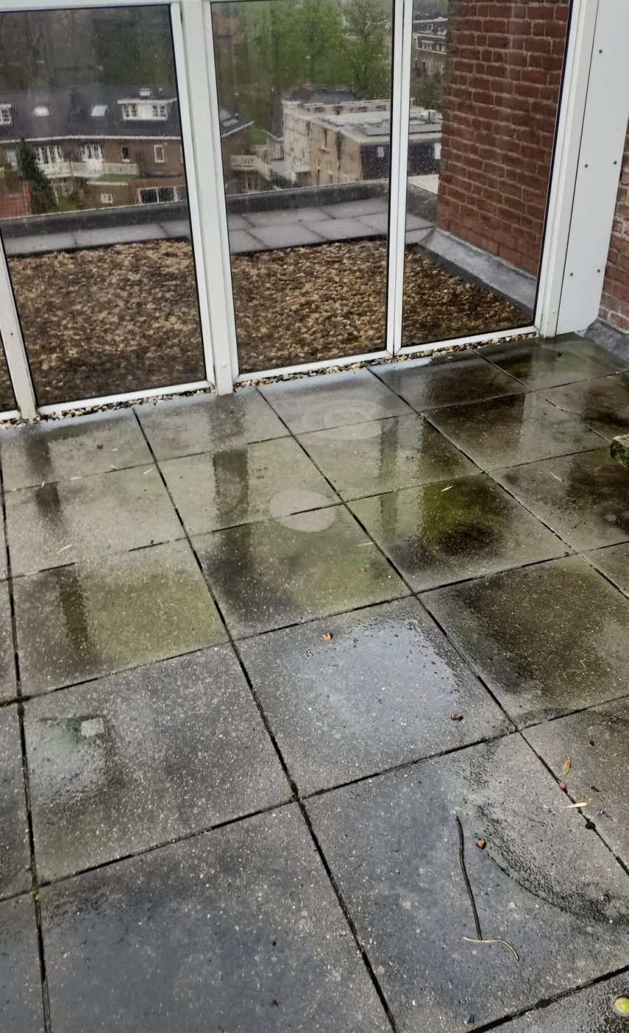 terras voor reiniging met softwash vol aanslag en algen